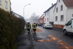 20190202_125238